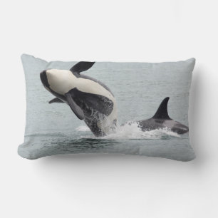 North America, USA, Washington, San Juan Lumbar Pillow