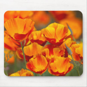 North America, USA, Washington, Seattle Mouse Pad