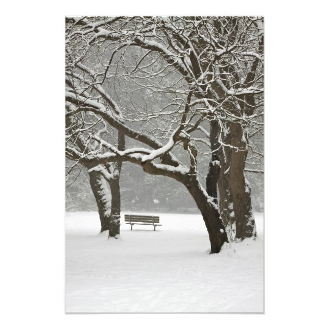 North America, USA, Washington, Seattle, Snow 2 Photo Print (Front)