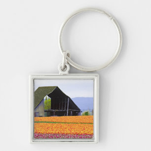 North America, USA, Washington, Skagit Valley. 2 Keychain