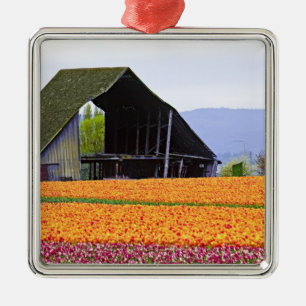 North America, USA, Washington, Skagit Valley. 2 Metal Ornament