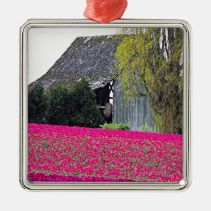 North America, USA, Washington, Skagit Valley. Metal Ornament