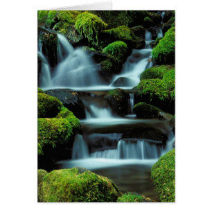 North America; USA; Washington, Sol Duc Cascade