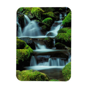 North America; USA; Washington, Sol Duc Cascade Magnet