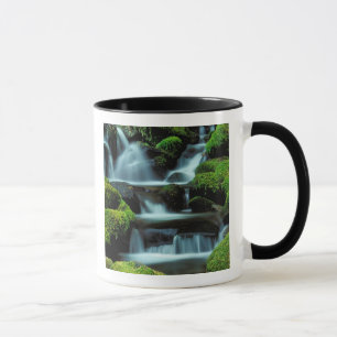 North America; USA; Washington, Sol Duc Cascade Mug