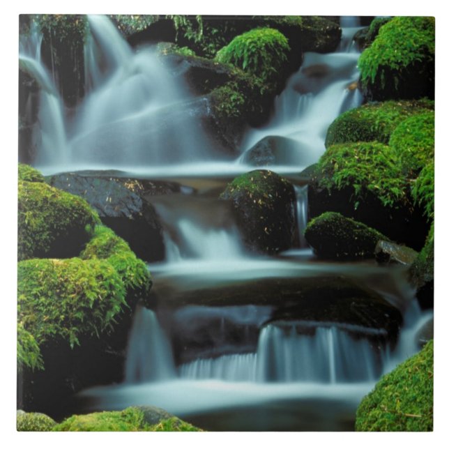 North America; USA; Washington, Sol Duc Cascade Tile (Front)