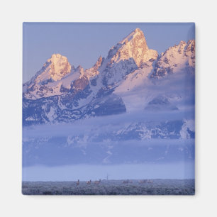 North America, USA, Wyoming, Grand Teton NP, 2 Magnet