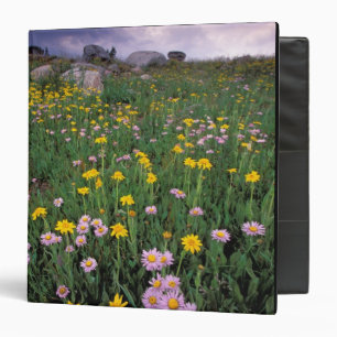 North America, USA, Wyoming, Yellowstone 2 Binder