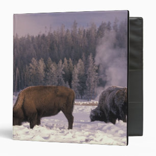 North America, USA, Wyoming, Yellowstone NP, Binder