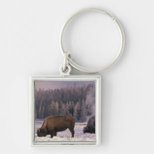 North America, USA, Wyoming, Yellowstone NP, Keychain
