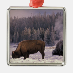 North America, USA, Wyoming, Yellowstone NP, Metal Ornament