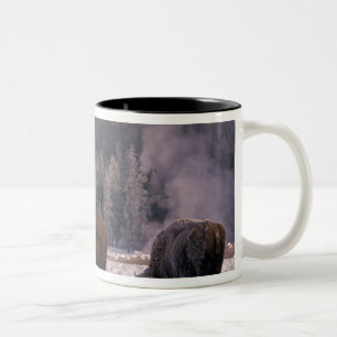 North America, USA, Wyoming, Yellowstone NP, Two-Tone Coffee Mug