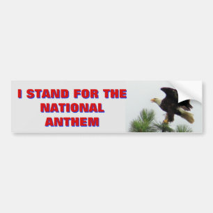 North American Bald Eagle I Stand For The Anthem Bumper Sticker