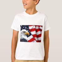 North American Bald Eagle on American flag