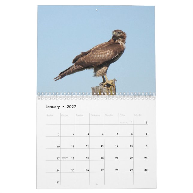 North American Birds 2010 Calendar (Jan 2027)