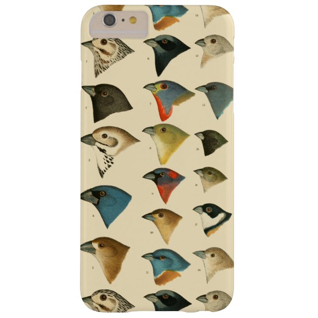 North American Birds Case-Mate iPhone Case (Back)