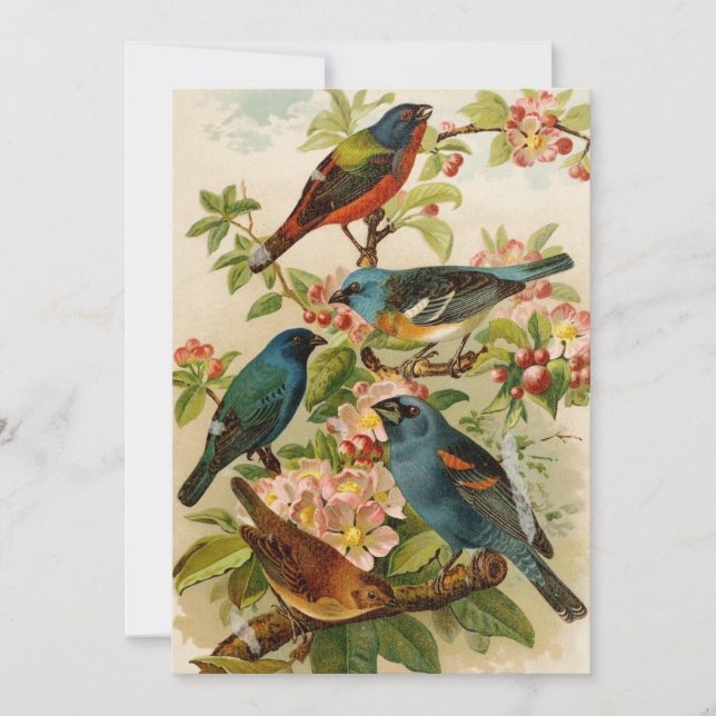 North American Birds | Gustav Mützel (Front)