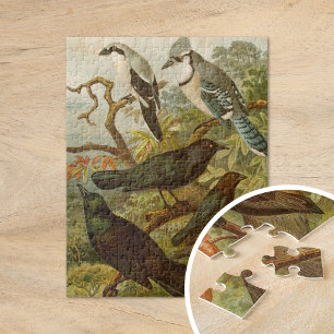 North American Birds Gustav Mützel Jigsaw Puzzle
