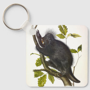 North American or Canada Porcupine by Audubon Keychain