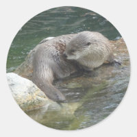 North American River Otter #2 Stickers