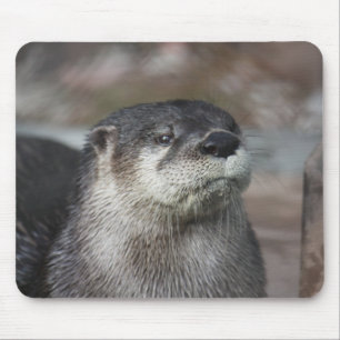 North American River Otter Mousepad
