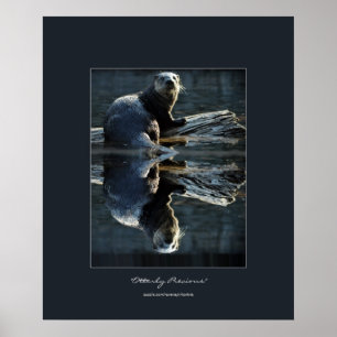 North American River Otter on a Log Wildlife Photo Poster