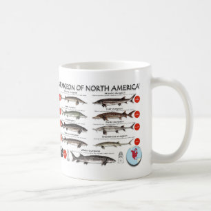 North American Sturgeon RedList Mug