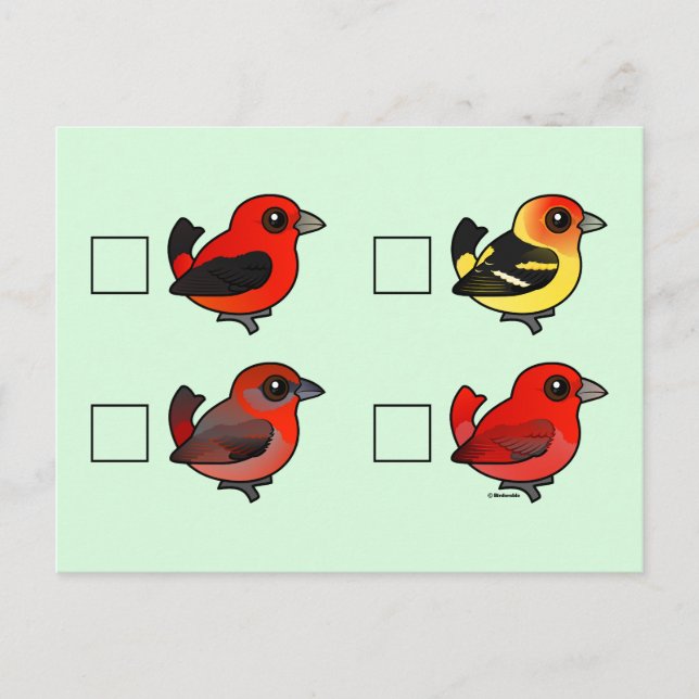 North American Tanager Checklist Postcard (Front)