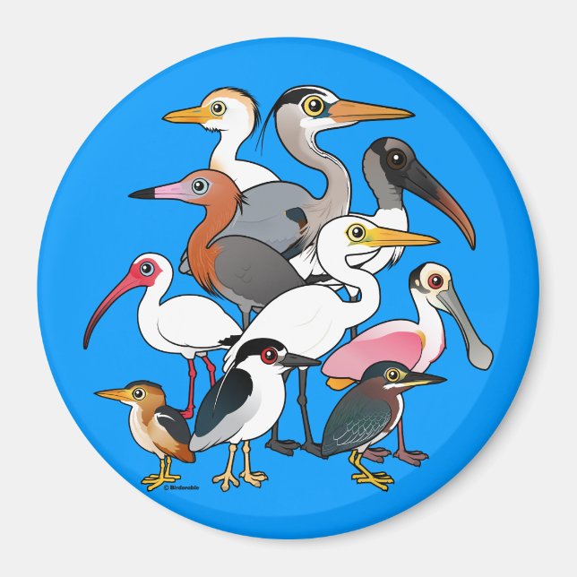 North American Waders Magnet (Front)