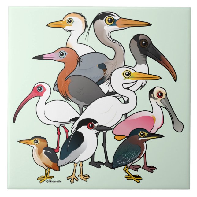 North American Waders Tile (Front)