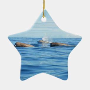 North Atlantic Bottlenose Whales Ceramic Ornament
