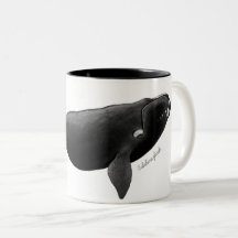 North Atlantic right whale Eubalaena glacialis Art