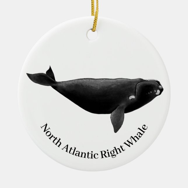 North Atlantic Right Whale Eubalaena Glacialis  Ceramic Ornament (Front)