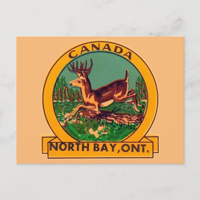 North Bay (Ontario) - Carte postale (Devant)