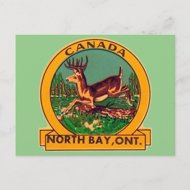 North Bay (Ontario) - Carte postale (Devant)
