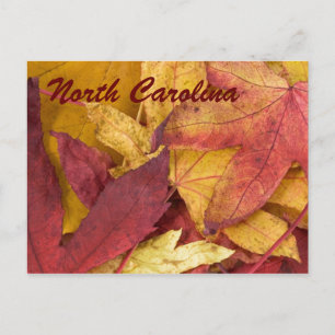 North Carolina Autumn Leaves Postcard