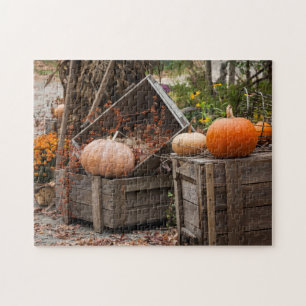 North Carolina, Linville, autumn pumpkins Jigsaw Puzzle