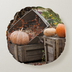 North Carolina, Linville, autumn pumpkins Round Pillow
