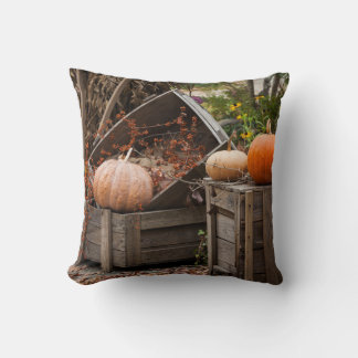 North Carolina, Linville, autumn pumpkins Throw Pillow