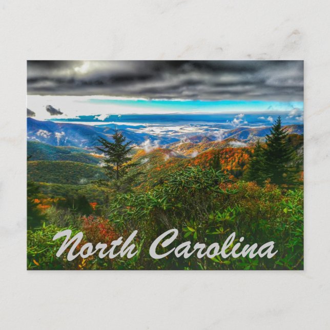 north carolina postcard (Front)