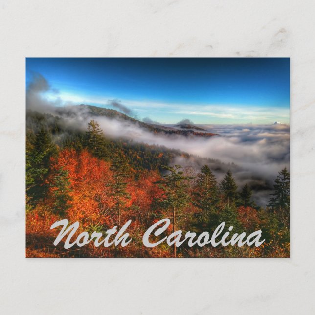 north carolina postcard (Front)