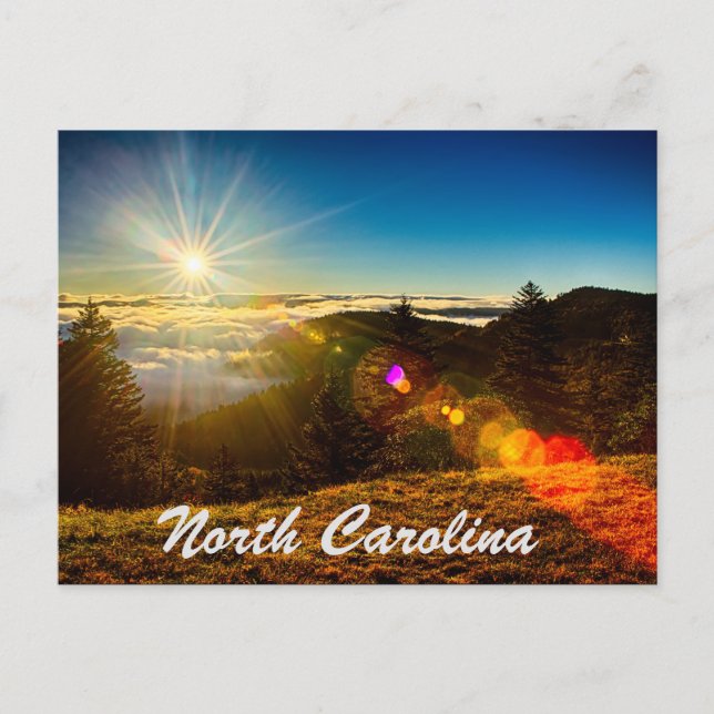 north carolina postcard (Front)