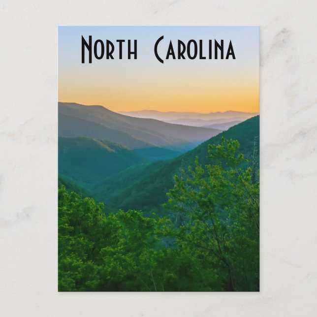 north carolina postcard (Front)