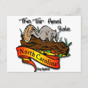 North Carolina Tar Heel State Grey Squirrel Postcard