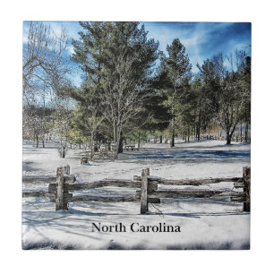 North Carolina winter landscape Tile
