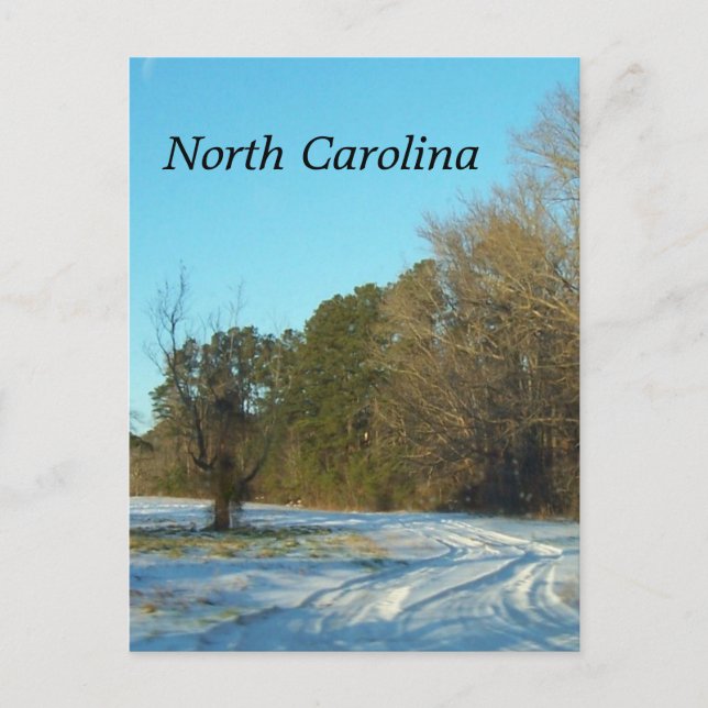 North Carolina Winter Snow Scene Postcard (Front)
