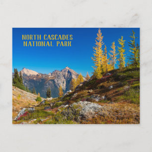 North Cascades Autumn Colour Postcard