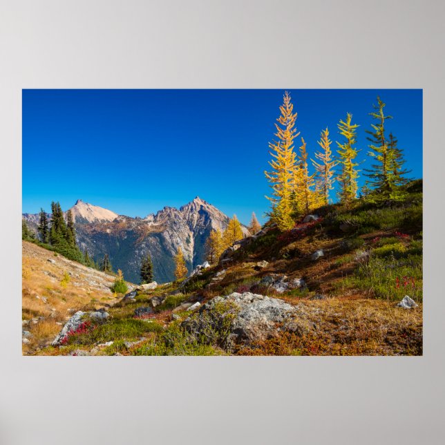 North Cascades Autumn Colour Poster (Front)