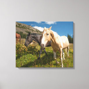 North Cascades National Park Canvas Print