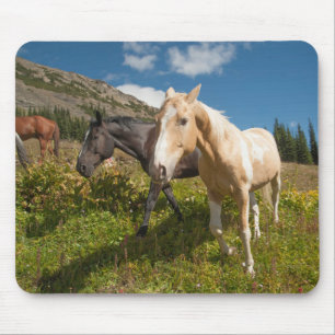 North Cascades National Park Mouse Pad